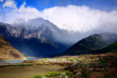 Similar image 11798207