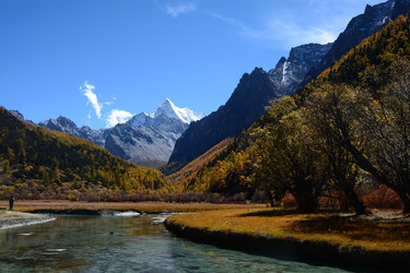 Similar image 11798292