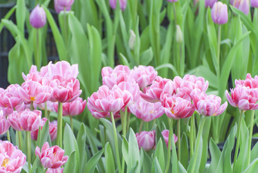 Similar image 11798349