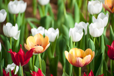 Similar image 11798377