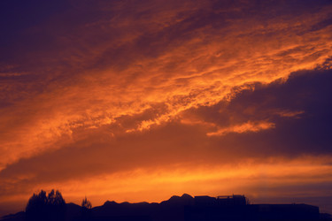 Similar image 11798403