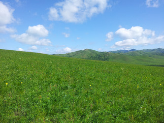 Similar image 11798431