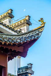 Similar image 11798455