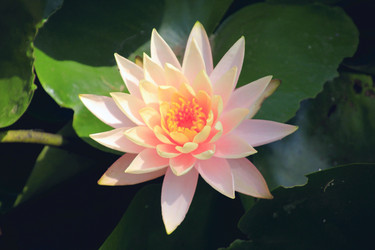 Similar image 11798539