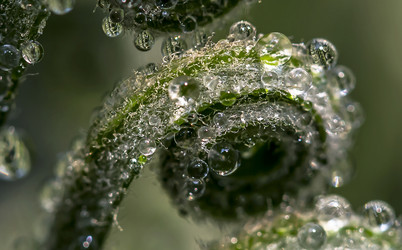 Similar image 11798562