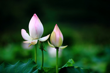 Similar image 11798886