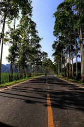 Similar image 11798920