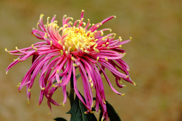 Similar image 11786363