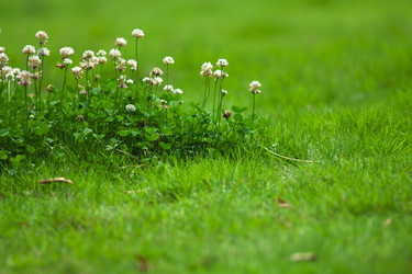 Similar image 11786779