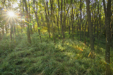 Similar image 11786809