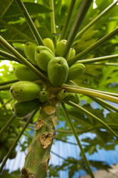 Similar image 11787628