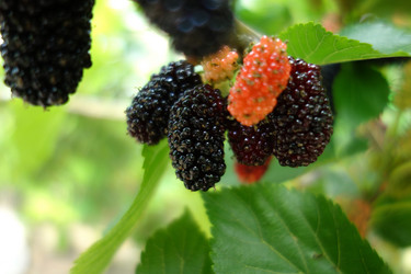 Similar image 11787875