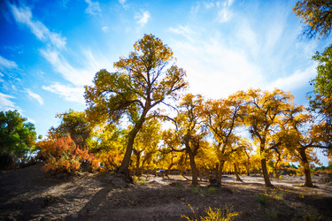 Similar image 11787939