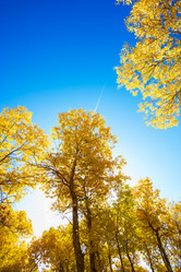 Similar image 11787864