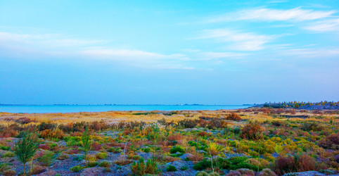 Similar image 11787948