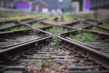 Similar image 11788173