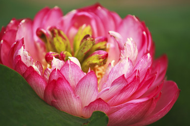 Similar image 11788074