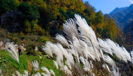 Similar image 11788191