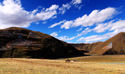 Similar image 11788488