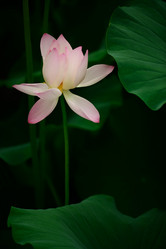 Similar image 11788579