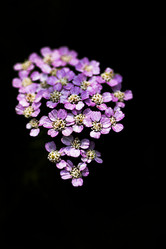 Similar image 11789427