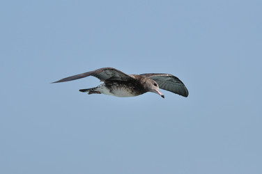 Similar image 11790020