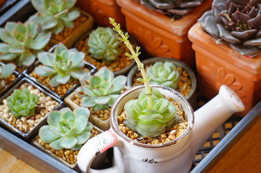 Similar image 11793451