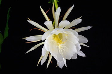 Similar image 11793525