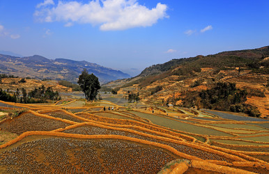 Similar image 11794262