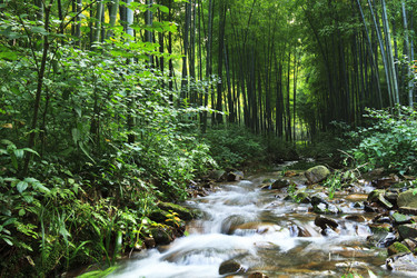 Similar image 11794513