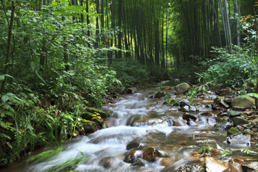 Similar image 11794455