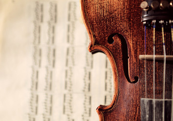 Similar image 11794833