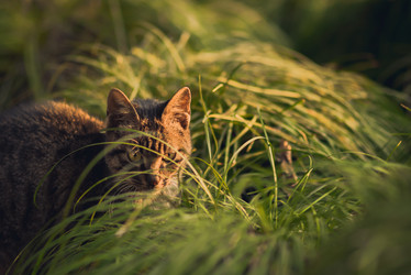 Similar image 11794814