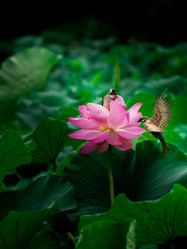 Similar image 11794886