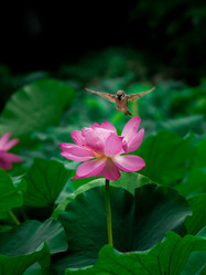 Similar image 11794921