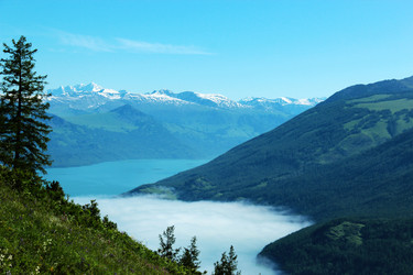 Similar image 11795086