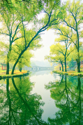 Similar image 11795150