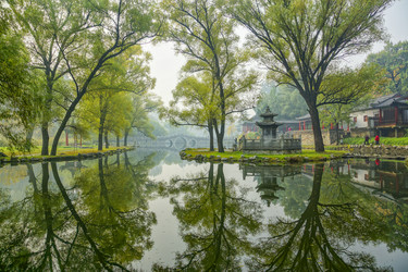 Similar image 11795183