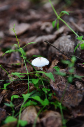 Similar image 11795250