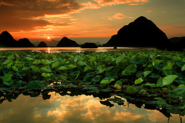 Similar image 11795321