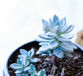 Similar image 11795423