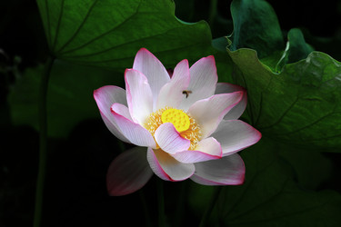 Similar image 11795907