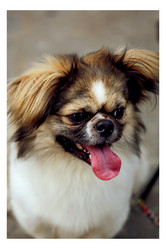 Similar image 11795940