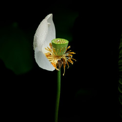 Similar image 11796063