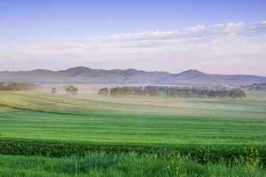 Similar image 11796093