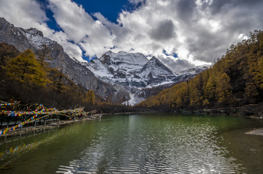 Similar image 11796255