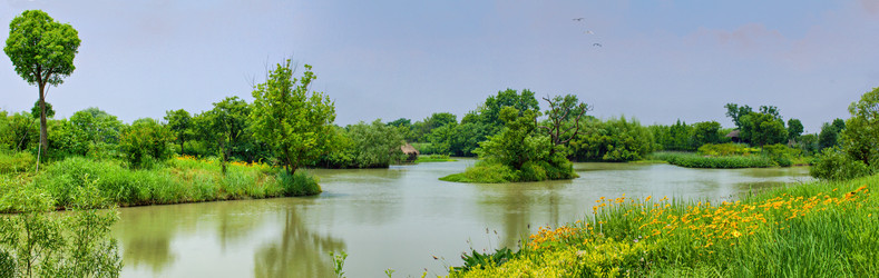 Similar image 11796318