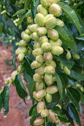 Similar image 11796513