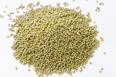 Similar image 11796720