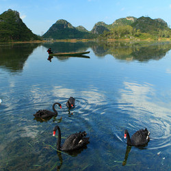 Similar image 11797138